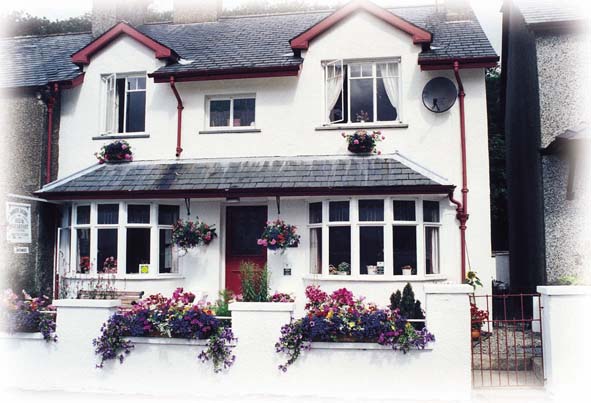 Borth Dairy B&B