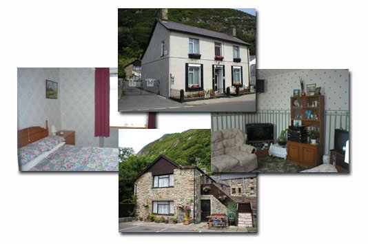 Ty Newydd B&B and Self Catering
